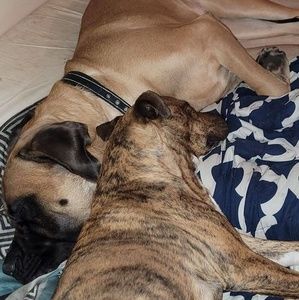 Meet your Posher, Shannon